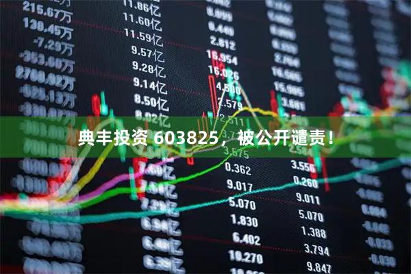 典丰投资 603825，被公开谴责！