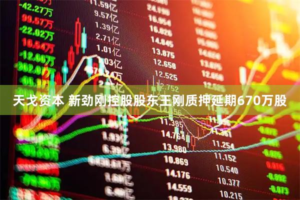 天戈资本 新劲刚控股股东王刚质押延期670万股