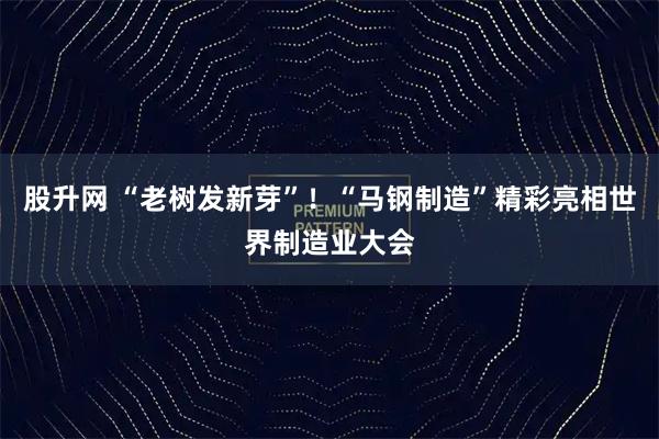 股升网 “老树发新芽”！“马钢制造”精彩亮相世界制造业大会