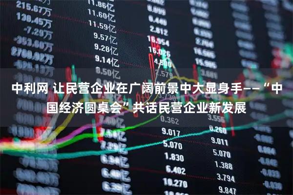中利网 让民营企业在广阔前景中大显身手——“中国经济圆桌会”共话民营企业新发展