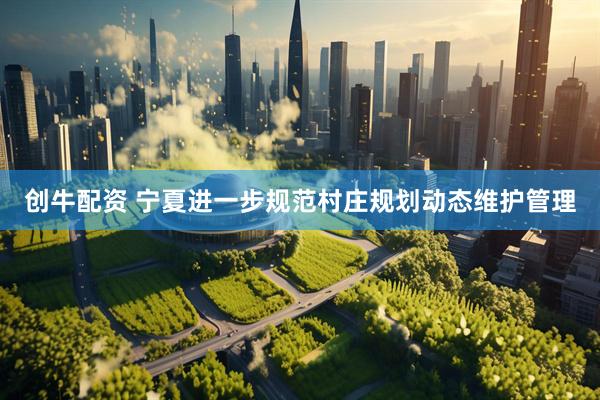 创牛配资 宁夏进一步规范村庄规划动态维护管理