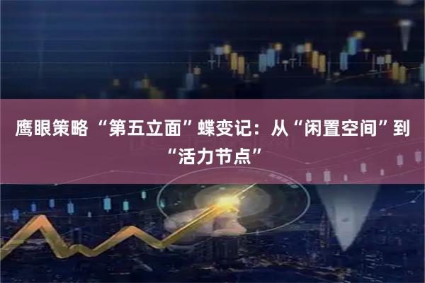 鹰眼策略 “第五立面”蝶变记：从“闲置空间”到“活力节点”