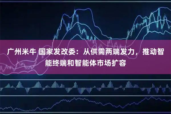 广州米牛 国家发改委：从供需两端发力，推动智能终端和智能体市场扩容